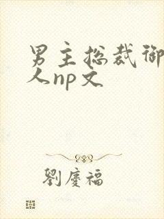 男主总裁御女多人np文