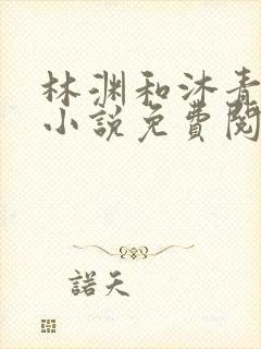 林渊和沐青瑶的小说免费阅读