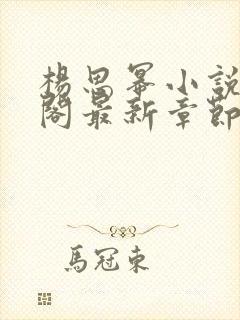 杨思幂小说笔趣阁最新章节