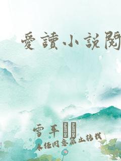 爱读小说阅读器