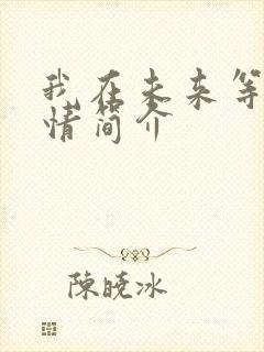 我在未来等你剧情简介