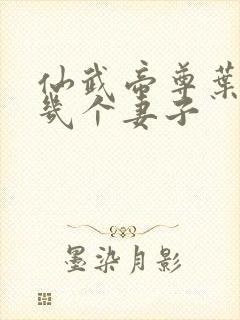 仙武帝尊叶辰有几个妻子