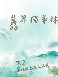 万界独尊林枫版的