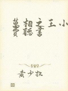 万相之王小说免费听书