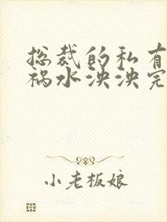 总裁的私有宝贝祸水泱泱完整小说在哪看