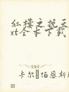 红楼之挽天倾txt全本下载