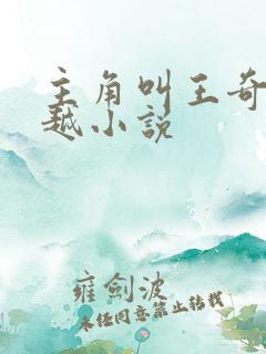 主角叫王奇的穿越小说