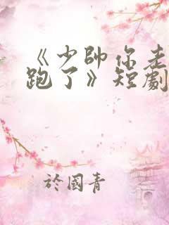 《少帅你老婆又跑了》短剧