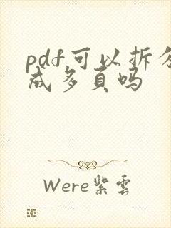 pdf可以拆分成多页吗