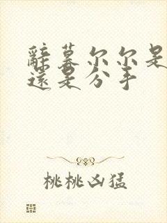 辞暮尔尔是表白还是分手