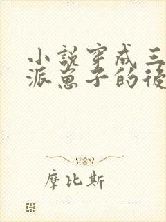 小说穿成三个反派崽子的后娘怎么办阅读