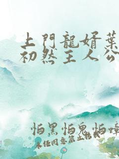 上门龙婿叶辰萧初然主人公