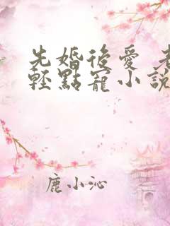 先婚后爱 老公轻点宠小说