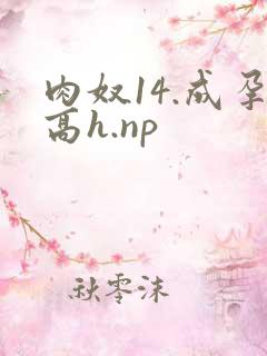 肉奴14.成孕高h.np