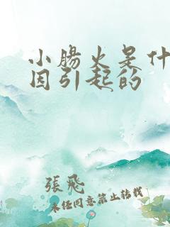 小肠火是什么原因引起的