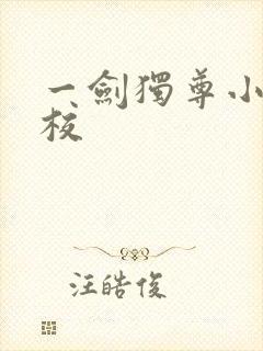 一剑独尊小说精校