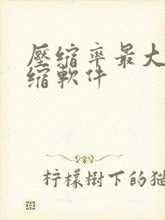 压缩率最大的压缩软件