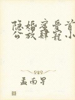 隐婚蜜爱首席老公放肆宠小说