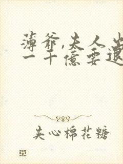 薄爷,夫人出价一千亿要退婚免费阅读全文