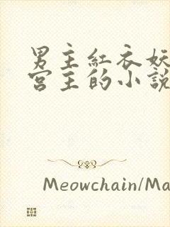 男主红衣妖孽是宫主的小说