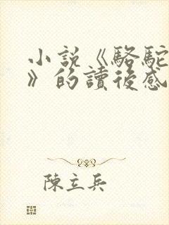 小说《骆驼祥子》的读后感