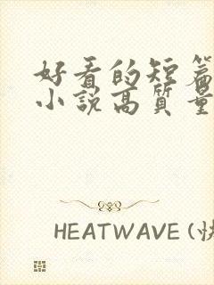 好看的短篇言情小说高质量文笔好