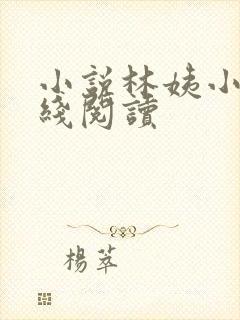 小说林姨小浩在线阅读