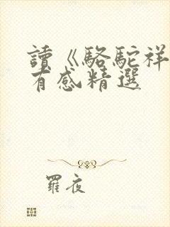 读《骆驼祥子》有感精选