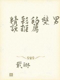 精彩的双男主小说推荐