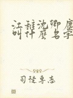 江稚沈卿尘小说叫什么名字