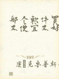 哪个软件买女装又便宜又好看