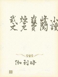 武炼巅峰小说全文免费阅读无弹窗