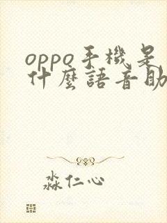 oppo手机是什么语音助手