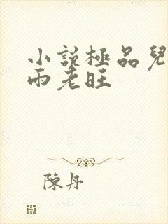 小说极品儿媳秦雨老旺