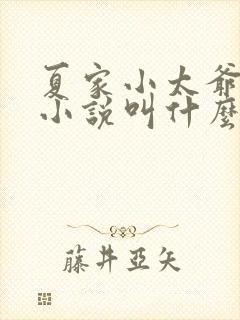 夏家小太爷原著小说叫什么名字