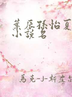 叶辰孙怡夏若雪小说名
