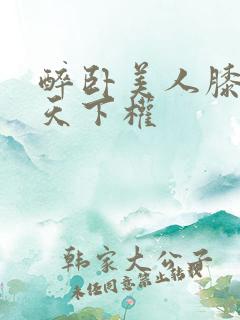 醉卧美人膝醒掌天下权