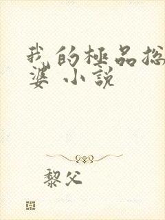我的极品总裁老婆 小说