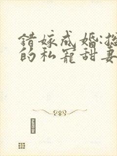 错嫁成婚:总裁的私宠甜妻 风亭