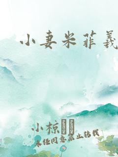 小妻米菲羲捷