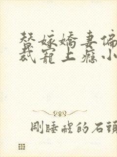 替嫁娇妻偏执总裁宠上瘾小说