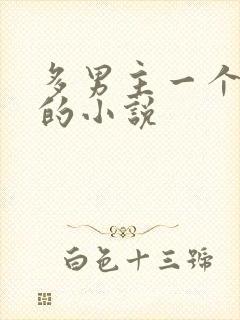 多男主一个女主的小说