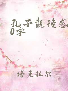 孔子观后感500字