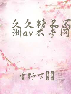 久久精品国产亚洲av不卡网站