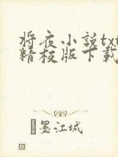 将夜小说txt精校版下载