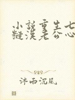 小说重生七零:糙汉老公心尖宠更新