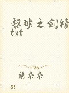 黎明之剑精校版txt