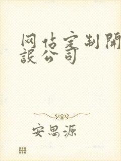 网站定制开发建设公司