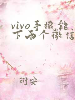 vivo手机能下两个微信吗