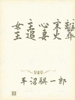 女主心寒离开男主追妻火葬场